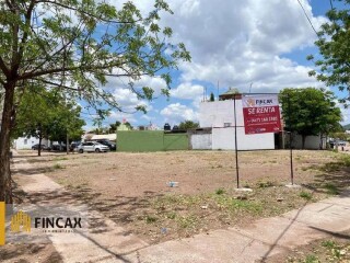 terreno-en-venta-santa-fe-en-culiacan-clasf-animales