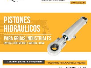 pistones-hidraulicos-para-gruas-industriales-repase-mx-en-mexico-clasf-motor