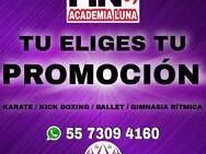 ballet-gimnasia-ritmica-karate-y-kick-boxing-en-chimalhuacan-clasf-formacion-y-libros