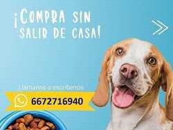 servicio-de-croquetas-en-culiacan-en-culiacan-clasf-formacion-y-libros