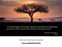 motivacion-y-desarrollo-en-morelia-clasf-formacion-y-libros