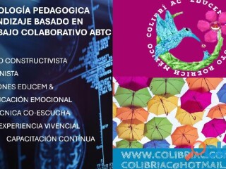 escuelas-y-universidades-por-la-paz-familiar-en-tijuana-clasf-formacion-y-libros