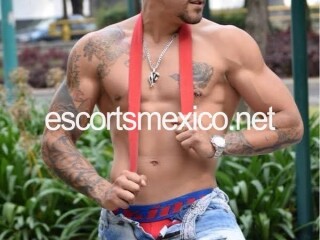el-chakal-que-te-saca-la-puta-que-traes-dentro-escorts-mexico