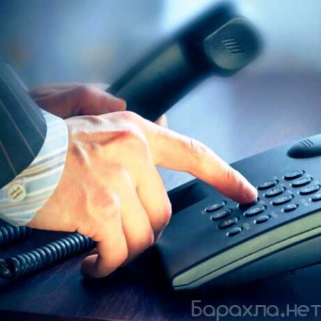 biznestelekommunikacii-praktikum-v-ekaterinburge-predlozenie-uslugi-v-obieiavlenii-u3610846-10045-na-baraxlanet-big-2