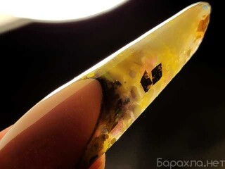 skola-inostrannyx-iazykov-lingvist-v-magnitogorske-predlozenie-uslugi-v-obieiavlenii-u27695390-na-baraxlanet