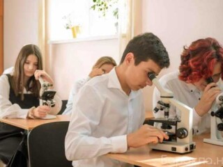 obucenie-transportnoi-bezopasnosti-v-celiabinske-predlozenie-uslugi-v-obieiavlenii-u26252050-na-baraxlanet