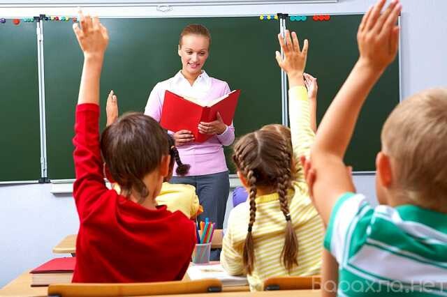 nocu-sovremennaia-skola-ximki-v-ximkax-predlozenie-uslugi-v-obieiavlenii-u27481137-na-baraxlanet-big-1