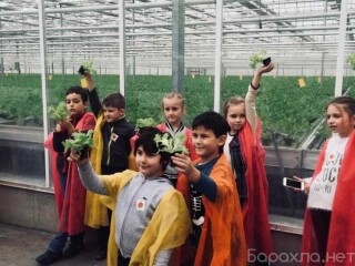 podgotovka-k-skole-repetitor-14-klass-v-irkutske-predlozenie-uslugi-v-obieiavlenii-u27545778-na-baraxlanet