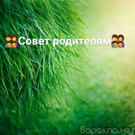 konsultacionnye-uslugi-v-irkutske-predlozenie-uslugi-v-obieiavlenii-u27433175-na-baraxlanet-big-4
