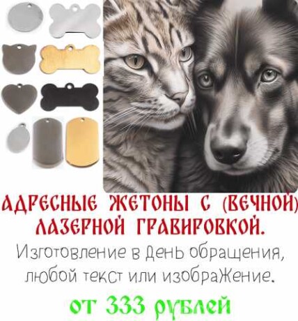 adresnye-zetony-dlia-kosek-i-sobak-s-laze-v-tveri-predlozenie-uslugi-v-obieiavlenii-u27798372-na-baraxlanet-big-2