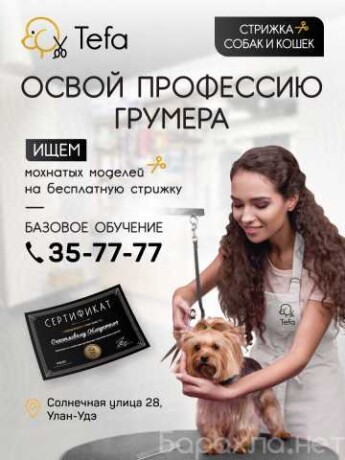 obucenie-grumingu-v-ulanude-predlozenie-uslugi-v-obieiavlenii-u27604932-na-baraxlanet-big-3