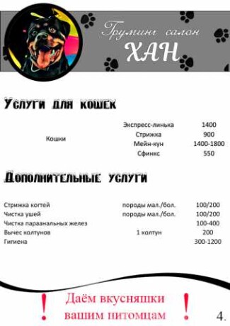 otdam-v-xorosie-ruki-besplatno-v-kolpino-predlozenie-uslugi-v-obieiavlenii-u27598923-na-baraxlanet-big-1