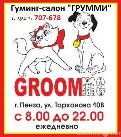 grummistrizka-sobak-i-kosek-v-penze-predlozenie-uslugi-v-obieiavlenii-u6549822-3224905-na-baraxlanet-big-2