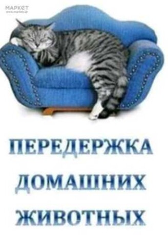 perederzka-zivotnyx-v-brianske-predlozenie-uslugi-v-obieiavlenii-u27396044-na-baraxlanet-big-2