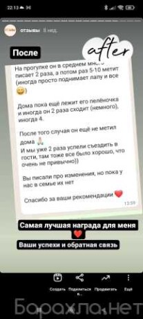 ishhu-nevestu-dlia-viazki-sibirskogo-kotika-v-irkutske-spros-na-uslugu-v-obieiavlenii-u27383807-na-baraxlanet-big-5