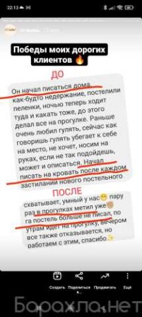 ishhu-nevestu-dlia-viazki-sibirskogo-kotika-v-irkutske-spros-na-uslugu-v-obieiavlenii-u27383807-na-baraxlanet-big-1