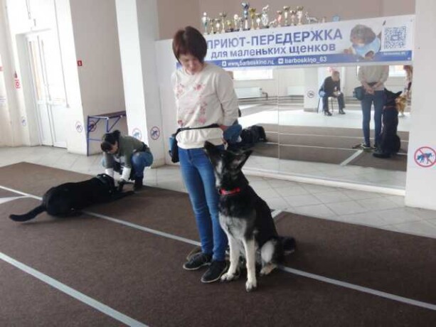 gruppa-sovmestnaia-trenirovka-ugs-okd-v-toliatti-predlozenie-uslugi-v-obieiavlenii-u26683830-na-baraxlanet-big-4