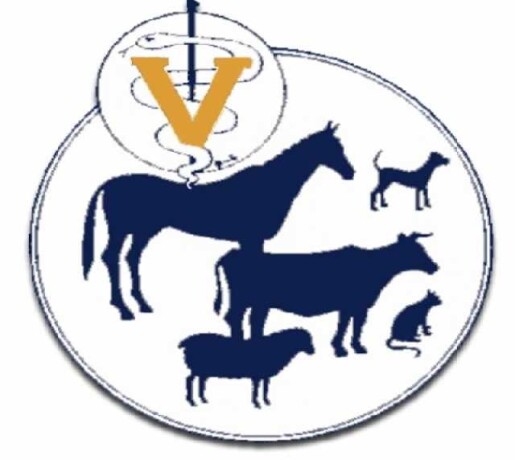 veterinarnye-uslugi-na-dom-v-nevinnomysske-predlozenie-uslugi-v-obieiavlenii-u26977095-na-baraxlanet-big-2