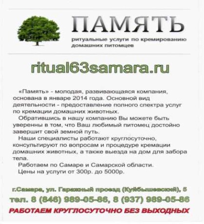 retualnye-uslugi-dlia-domasnix-zivotnyx-v-samare-predlozenie-uslugi-v-obieiavlenii-u26769195-na-baraxlanet-big-2