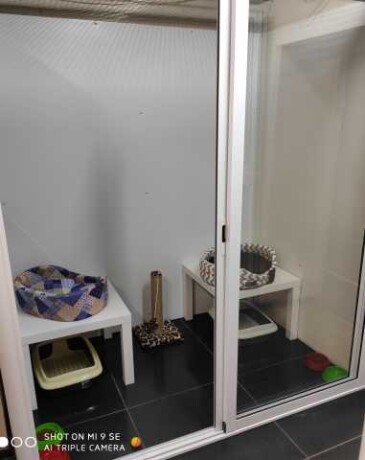 centr-lgotnoi-sterilizacii-zivotnyx-v-irkutske-predlozenie-uslugi-v-obieiavlenii-u26538458-na-baraxlanet-big-1