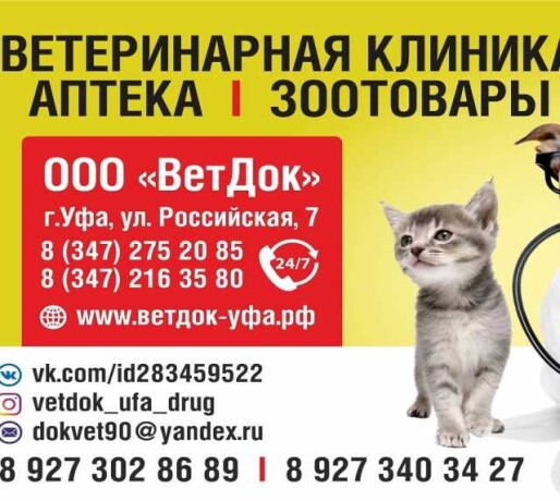veterinarnaia-klinikadrug-kruglosutocno-v-ufe-predlozenie-uslugi-v-obieiavlenii-u26471333-na-baraxlanet-big-2