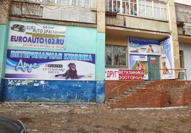 dressirovka-korrekciia-povedeniia-sobak-v-krasnodare-predlozenie-uslugi-v-obieiavlenii-u26055446-na-baraxlanet-big-2