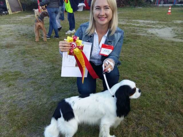 viazka-labrador-malcik-5-let-v-volzskom-predlozenie-uslugi-v-obieiavlenii-u-na-baraxlanet-big-0