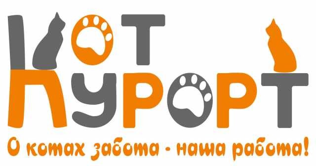 kot-kurort-v-toliatti-predlozenie-uslugi-v-obieiavlenii-u25523406-na-baraxlanet-big-2