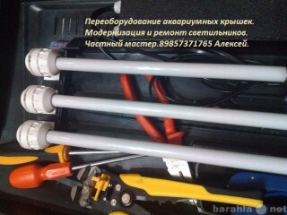 shhenki-v-dar-v-moskve-predlozenie-uslugi-v-obieiavlenii-u25372468-na-baraxlanet