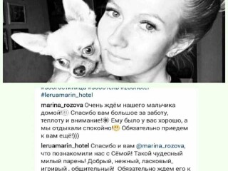 gostinica-dlia-sobak-melkix-porod-do-10kg-v-zeleznodoroznom-predlozenie-uslugi-v-obieiavlenii-u24407671-na-baraxlanet