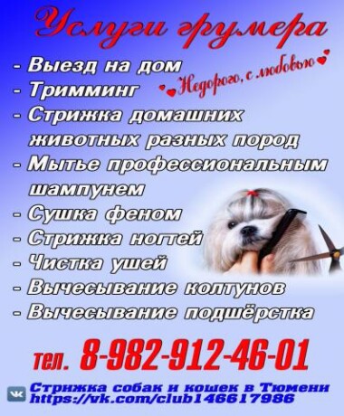 strizka-sobak-i-kosek-v-tiumeni-predlozenie-uslugi-v-obieiavlenii-u22874949-na-baraxlanet-big-2