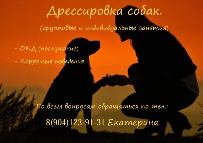 strizki-kosek-i-sobak-na-domu-v-tiumeni-predlozenie-uslugi-v-obieiavlenii-u17655558-6455546-na-baraxlanet-big-3