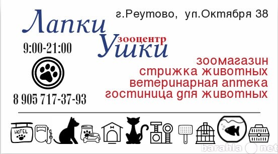 viazka-labrador-retriver-v-tomske-predlozenie-uslugi-v-obieiavlenii-u15835322-6048132-na-baraxlanet-big-2