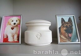nemeckaia-ovcarka-kobel-viazka-v-krasnodare-predlozenie-uslugi-v-obieiavlenii-u10677419-4640447-na-baraxlanet-big-2