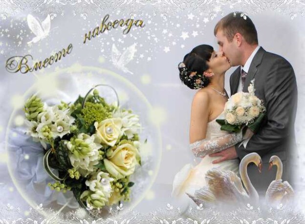 ocifrovka-fotoplenki-slaidov-i-foto-v-celiabinske-predlozenie-uslugi-v-obieiavlenii-u25747197-na-baraxlanet-big-2