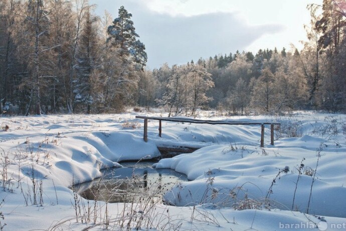 arenda-daci-v-moskve-predlozenie-uslugi-v-obieiavlenii-u4828949-2339543-na-baraxlanet-big-4