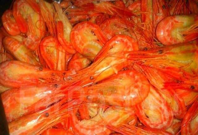 otdyx-na-baikale-v-ulanude-predlozenie-uslugi-v-obieiavlenii-u26221162-na-baraxlanet-big-1