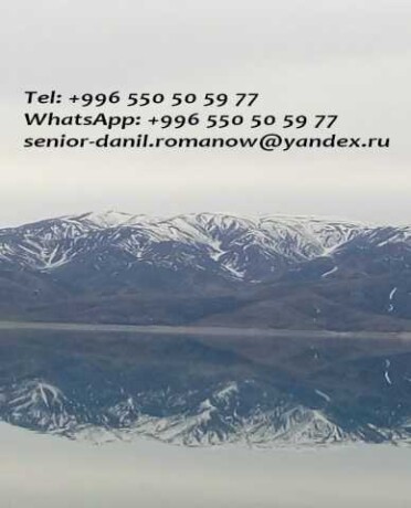 2day2go-onlainservis-v-stavropole-predlozenie-uslugi-v-obieiavlenii-u25720586-na-baraxlanet-big-3