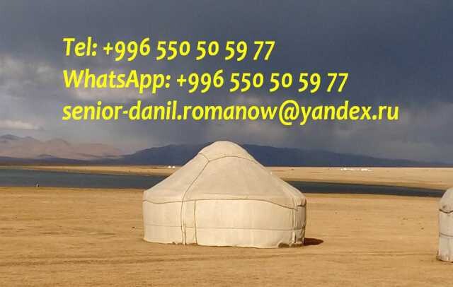 2day2go-onlainservis-v-stavropole-predlozenie-uslugi-v-obieiavlenii-u25720586-na-baraxlanet-big-0