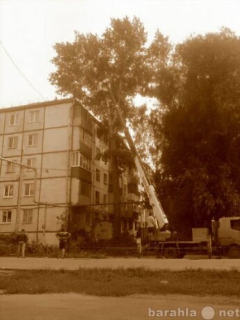 arenda-spectexniki-ekskavator-pogruzcik-v-samare-predlozenie-uslugi-v-obieiavlenii-u4171867-818347-na-baraxlanet-big-3