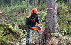 arenda-spectexniki-ekskavator-pogruzcik-v-samare-predlozenie-uslugi-v-obieiavlenii-u4171867-818347-na-baraxlanet-big-2