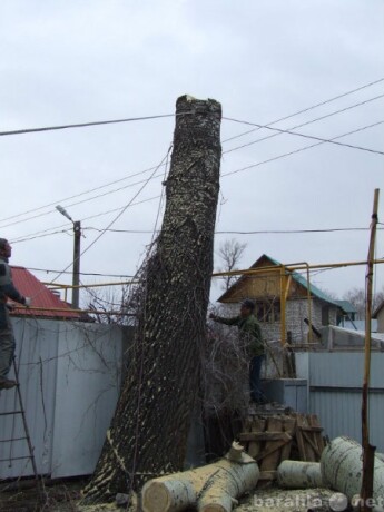 vykorcevka-pnei-v-samare-predlozenie-uslugi-v-obieiavlenii-u4597295-1965456-na-baraxlanet-big-1