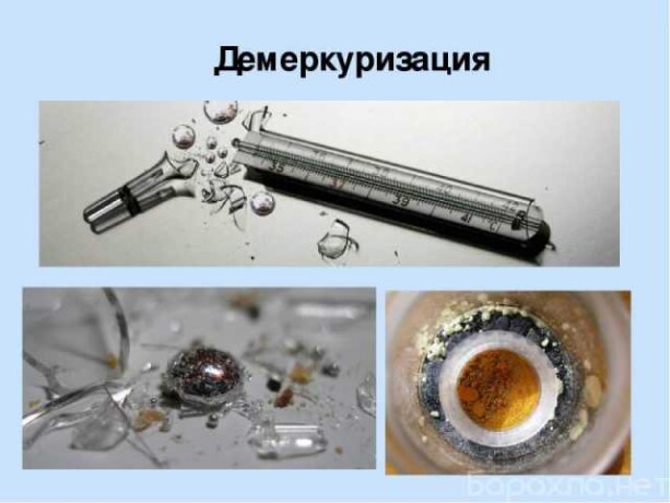 unictozenie-tarakanov-i-klopov-v-volgograde-predlozenie-uslugi-v-obieiavlenii-u27503326-na-baraxlanet-big-3