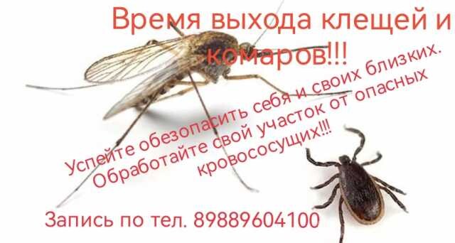 obrabotka-ot-kleshhei-v-volgograde-predlozenie-uslugi-v-obieiavlenii-u27730764-na-baraxlanet-big-3