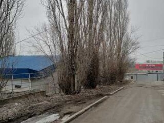 uborka-kvartir-pokraska-pokleika-oboev-v-ulanude-predlozenie-uslugi-v-obieiavlenii-u27730734-na-baraxlanet