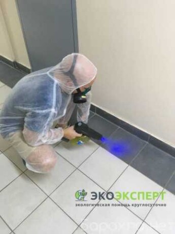 gen-uborka-kvartir-domov-v-sanktpeterburge-predlozenie-uslugi-v-obieiavlenii-u27690984-na-baraxlanet-big-4