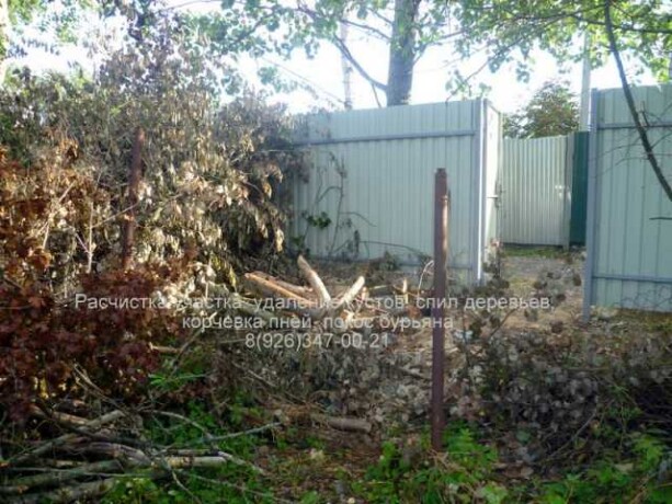 rascistka-ucastka-spil-derevev-v-shhelkovo-predlozenie-uslugi-v-obieiavlenii-u25450064-na-baraxlanet-big-3