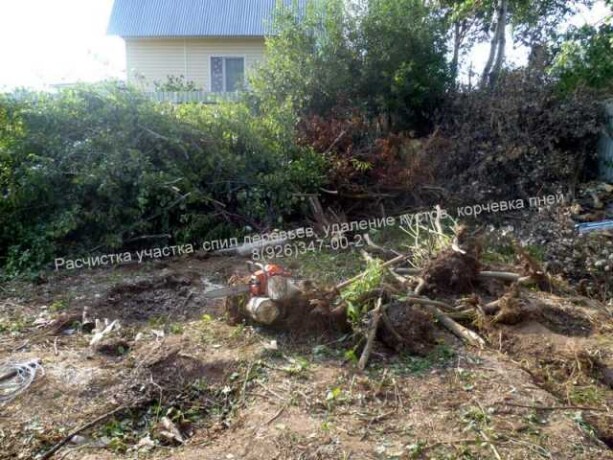 rascistka-ucastka-spil-derevev-v-shhelkovo-predlozenie-uslugi-v-obieiavlenii-u25450064-na-baraxlanet-big-4