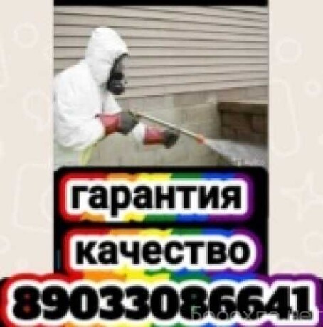 primu-zakaz-v-krasnodare-predlozenie-uslugi-v-obieiavlenii-u27435114-na-baraxlanet-big-2