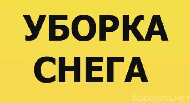 bystraia-i-kacestvennaia-uborka-pomeshhenii-v-moskve-predlozenie-uslugi-v-obieiavlenii-u27348729-na-baraxlanet-big-2
